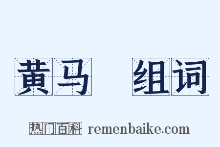 黄马袿组词是什么意思的图片